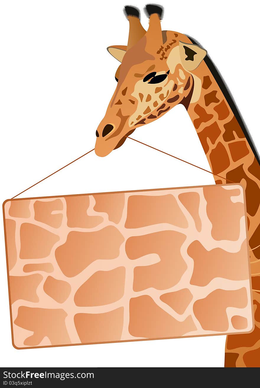 Giraffe - the tallest animal. Part of the animal. Giraffe holding the object on which you can place your text. Giraffe - the tallest animal. Part of the animal. Giraffe holding the object on which you can place your text.