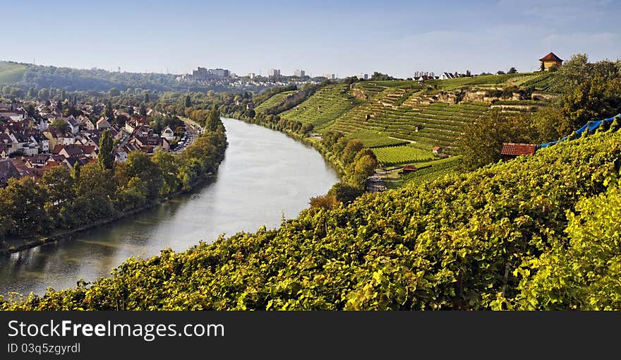 Vineyard with small houses on the river Neckar, Germany