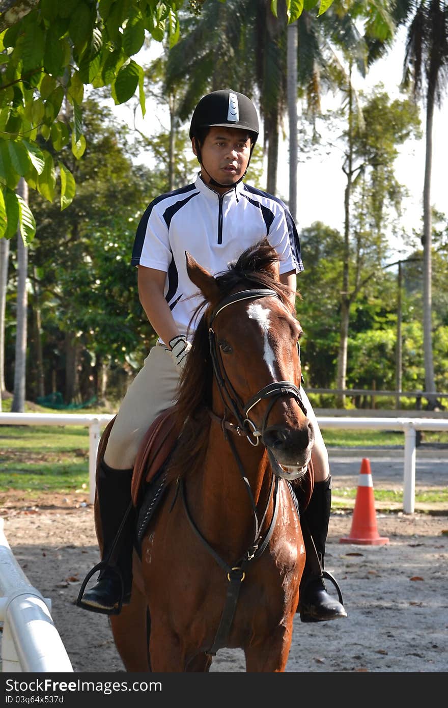 Rider on brown horse