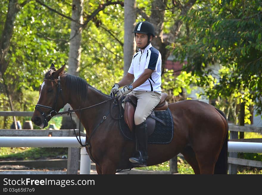 Rider on brown horse walking