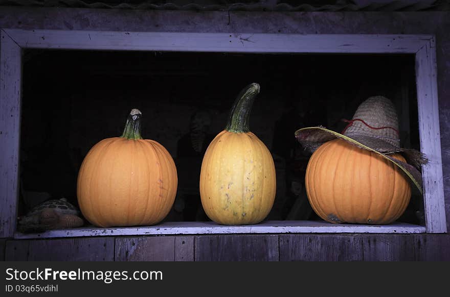 An American Tradition during Fall are Pumpkins loved by all