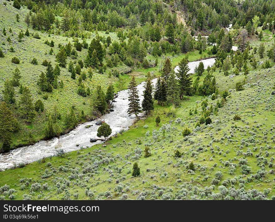 A river in a mountain valley. A river in a mountain valley