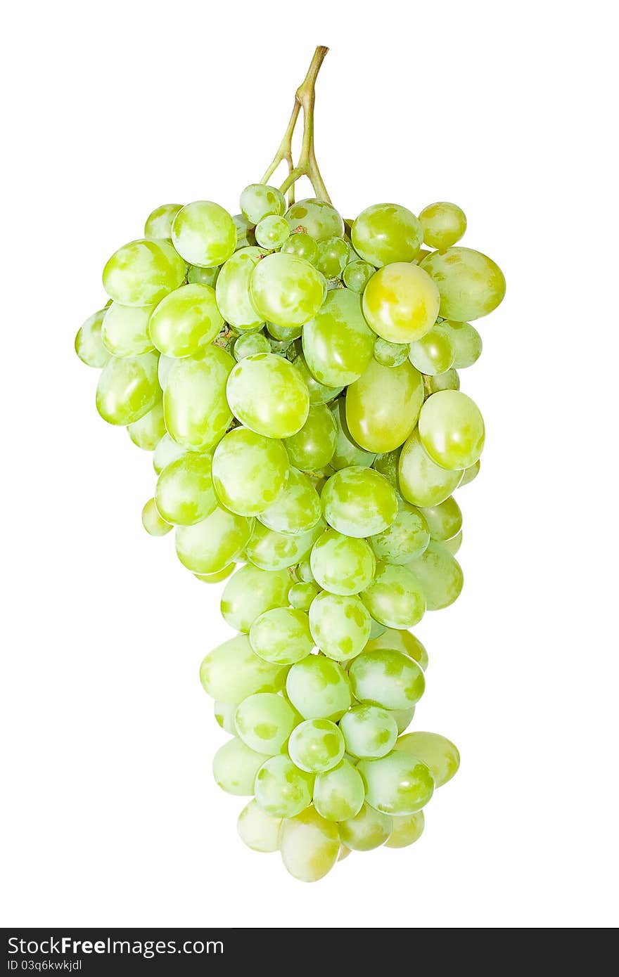 Grape