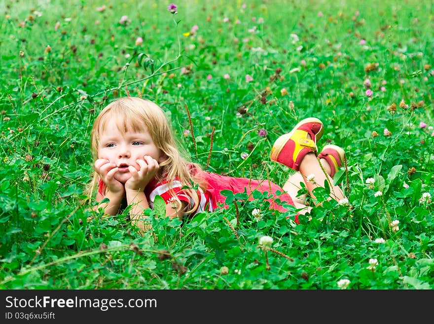 Beautiful girl in the meadow