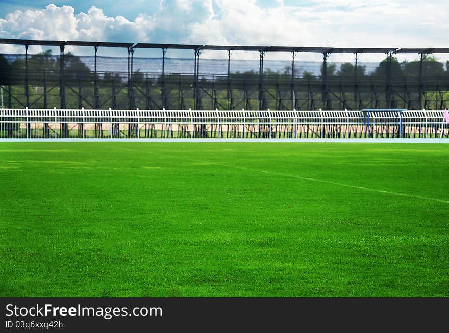 Stadium field covered with a young grass