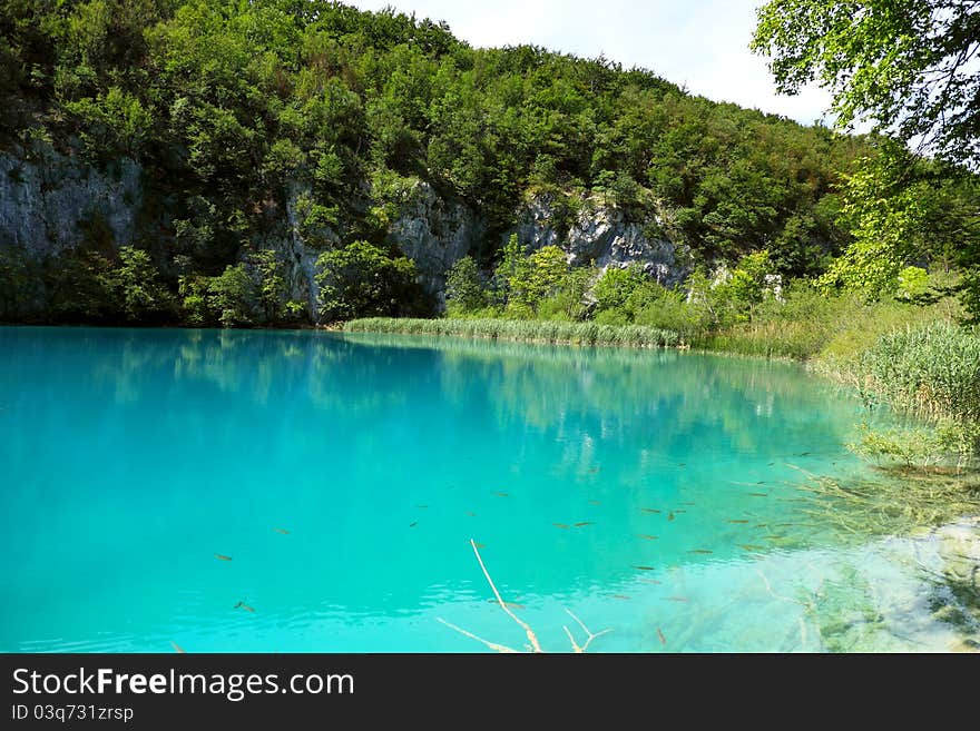 Crystal Clear Water In The Plitvice Lake