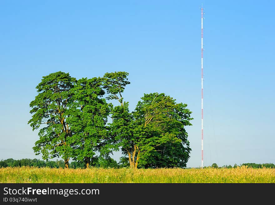 Trees and Antenna