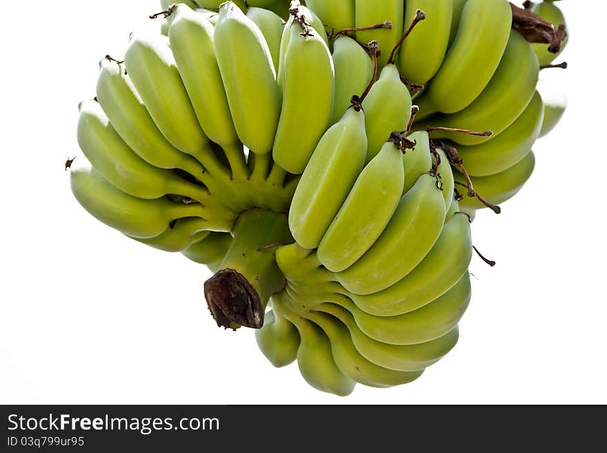 Banana Bunch isolate on white