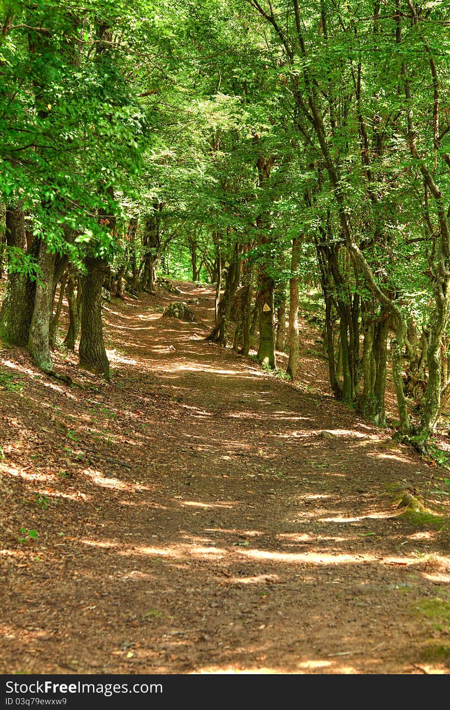 Path to Ciucaru Mare Peak