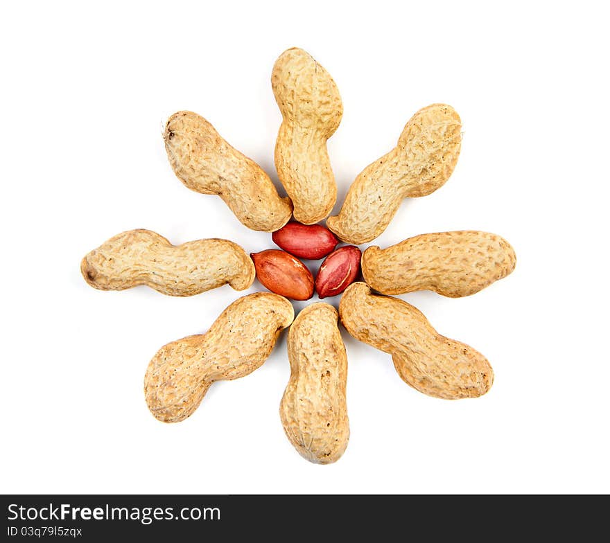 Peanuts in shell and open peanuts on white background. Peanuts in shell and open peanuts on white background