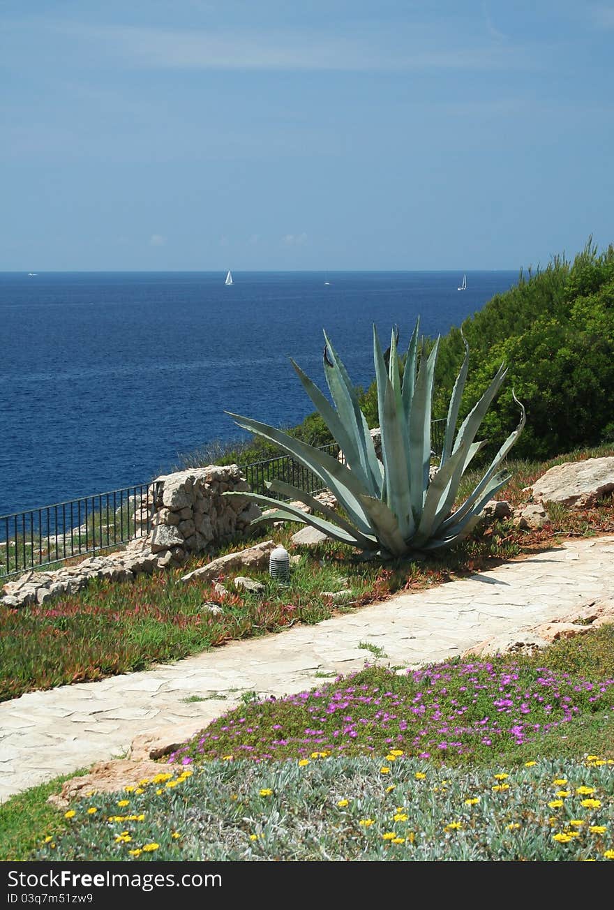 Sea, water, boats and a lot of sun. Sea, water, boats and a lot of sun