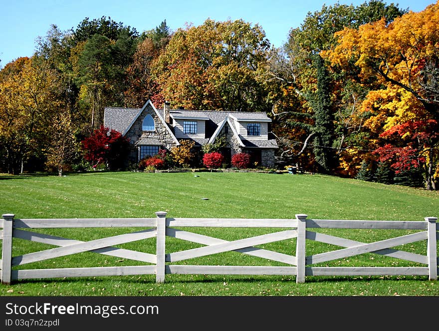 Trees turning color during the fall. Trees turning color during the fall