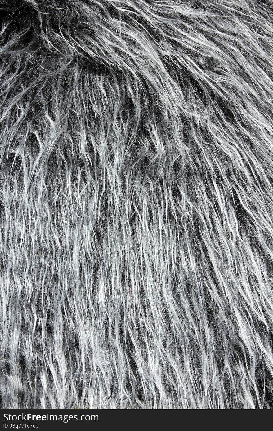 Grey fur background with long hair. Grey fur background with long hair