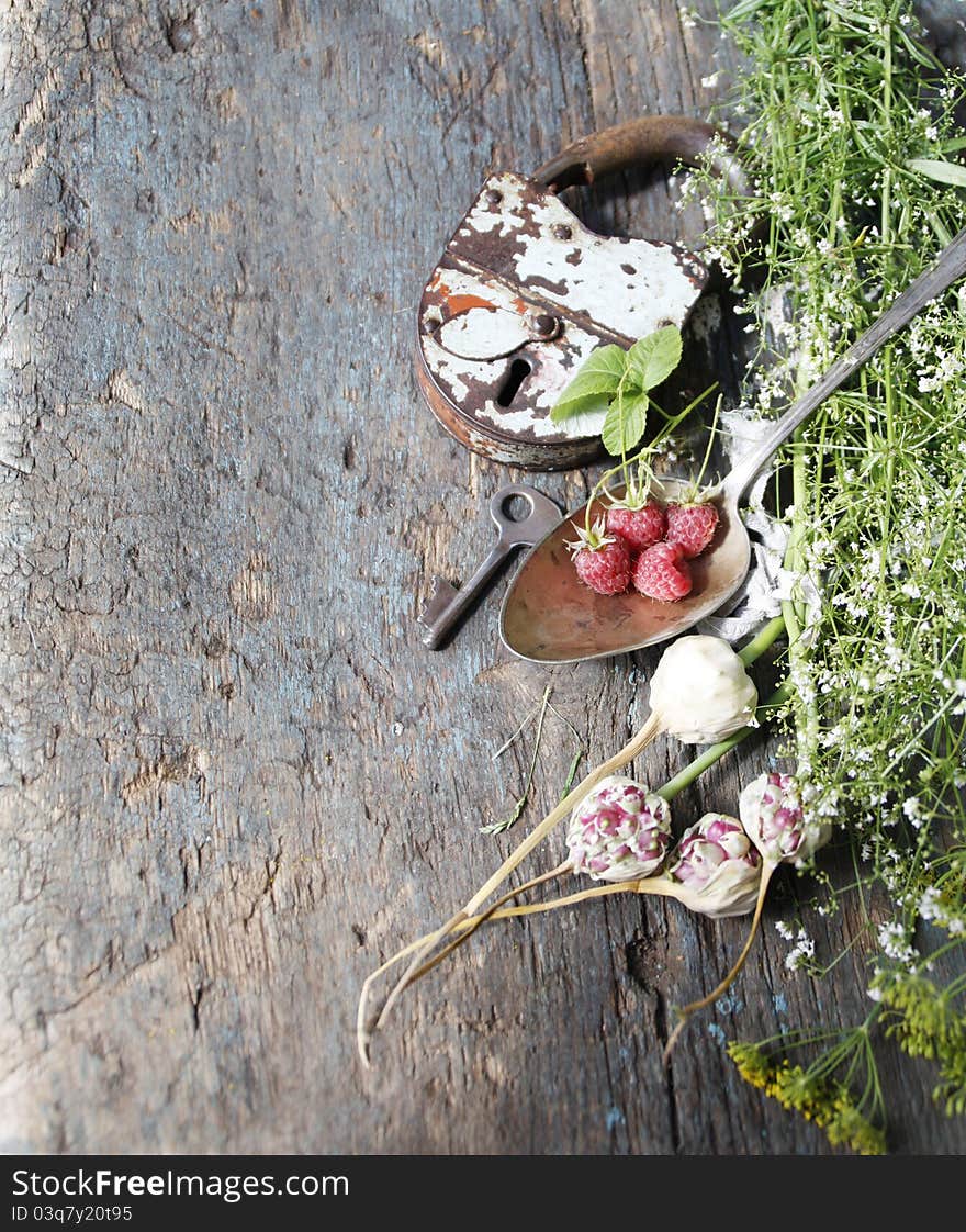 Still life with medicinal plants