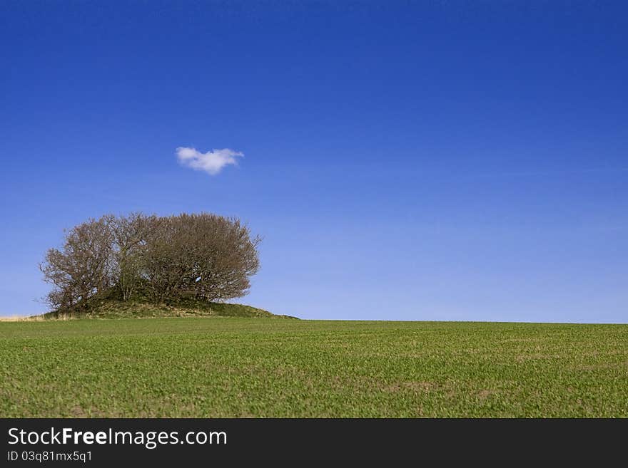 Landscape with trees, and blue skye. Landscape with trees, and blue skye