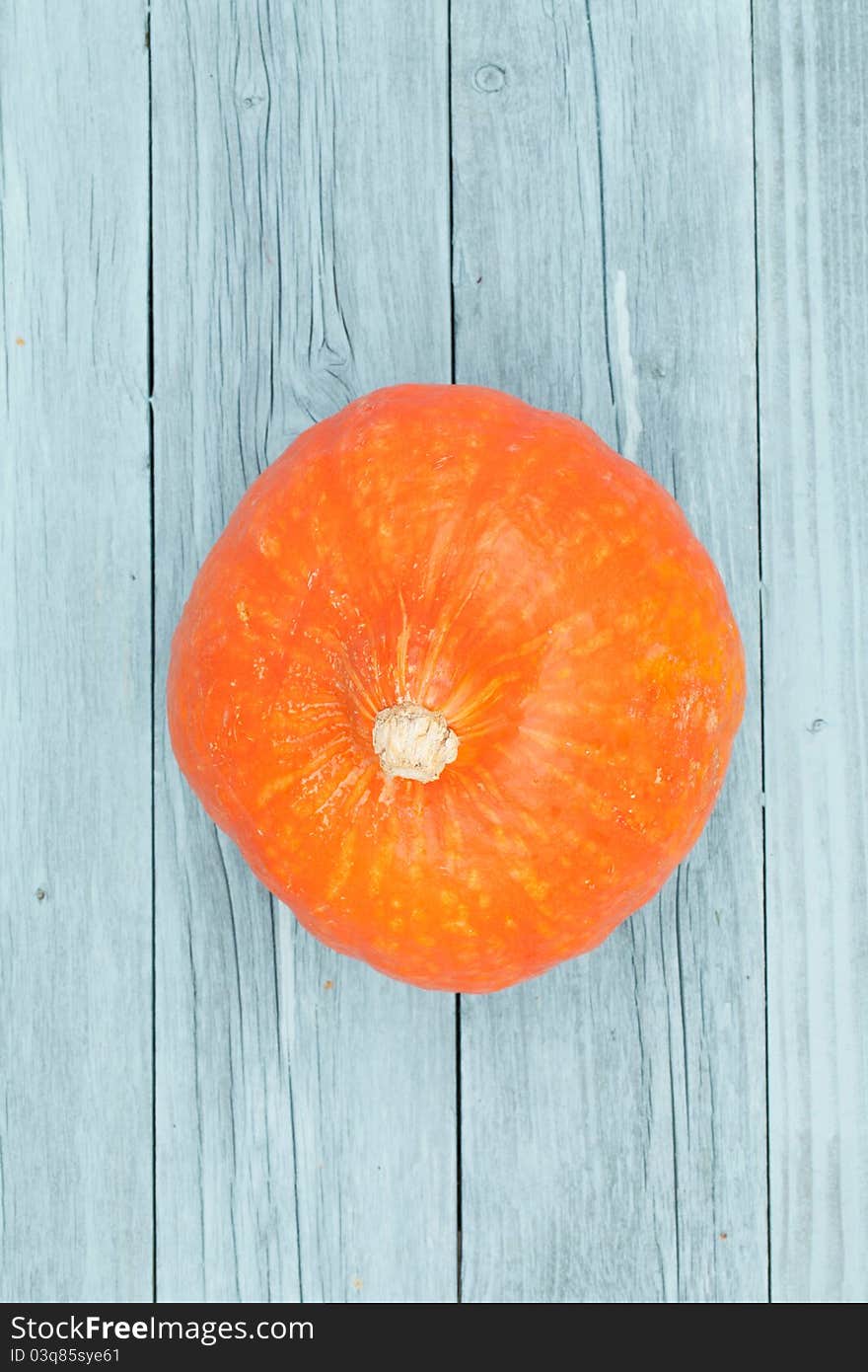 One Pumpkin lying on wood boards