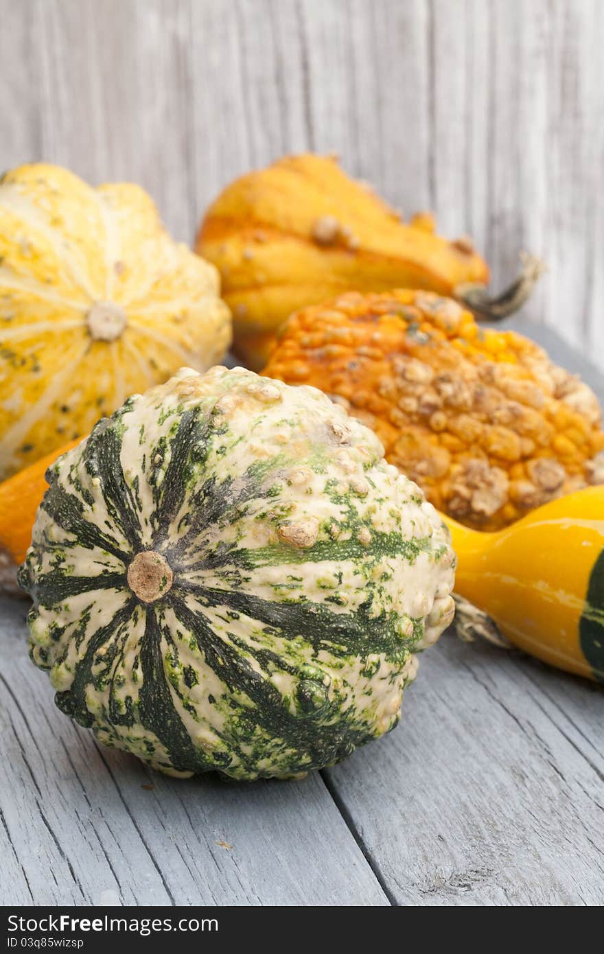 Decoration with pumkins on a table