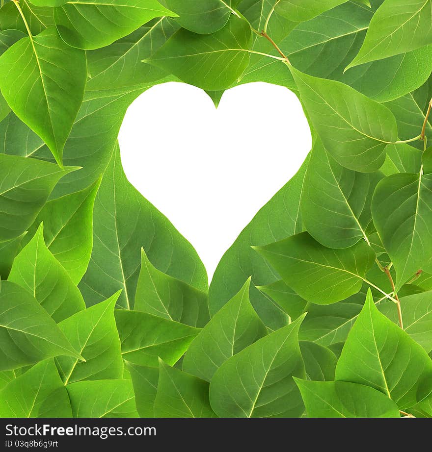 Nature concept. Heart shape for your images or text on green leaves background. Nature concept. Heart shape for your images or text on green leaves background