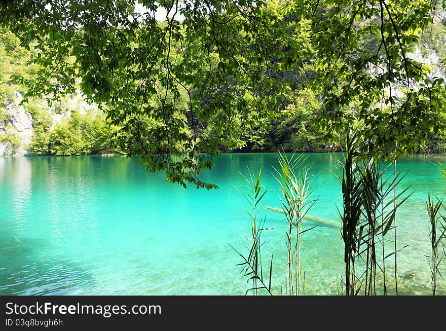 Crystal clear lake in Plitvice, Croatia