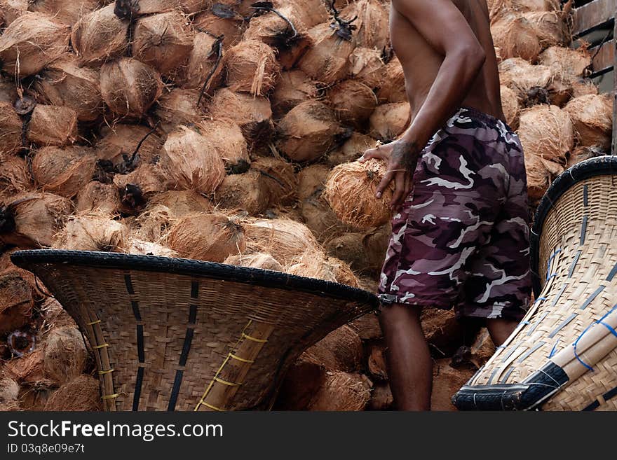 Move coconut in truck to store