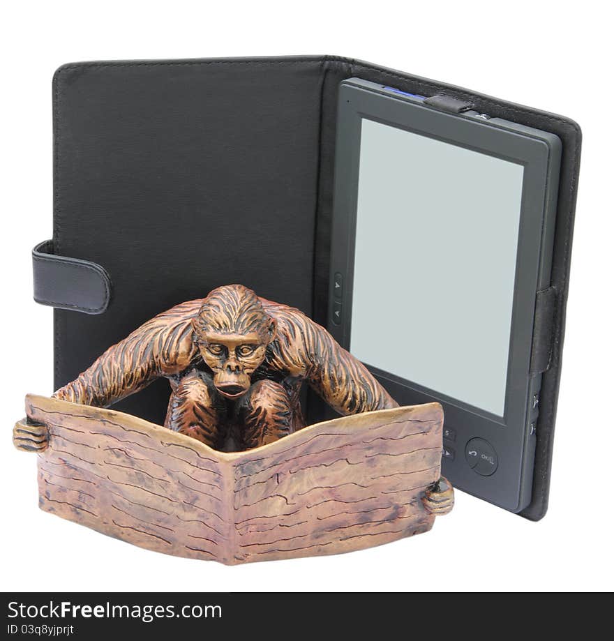 Reading monkey