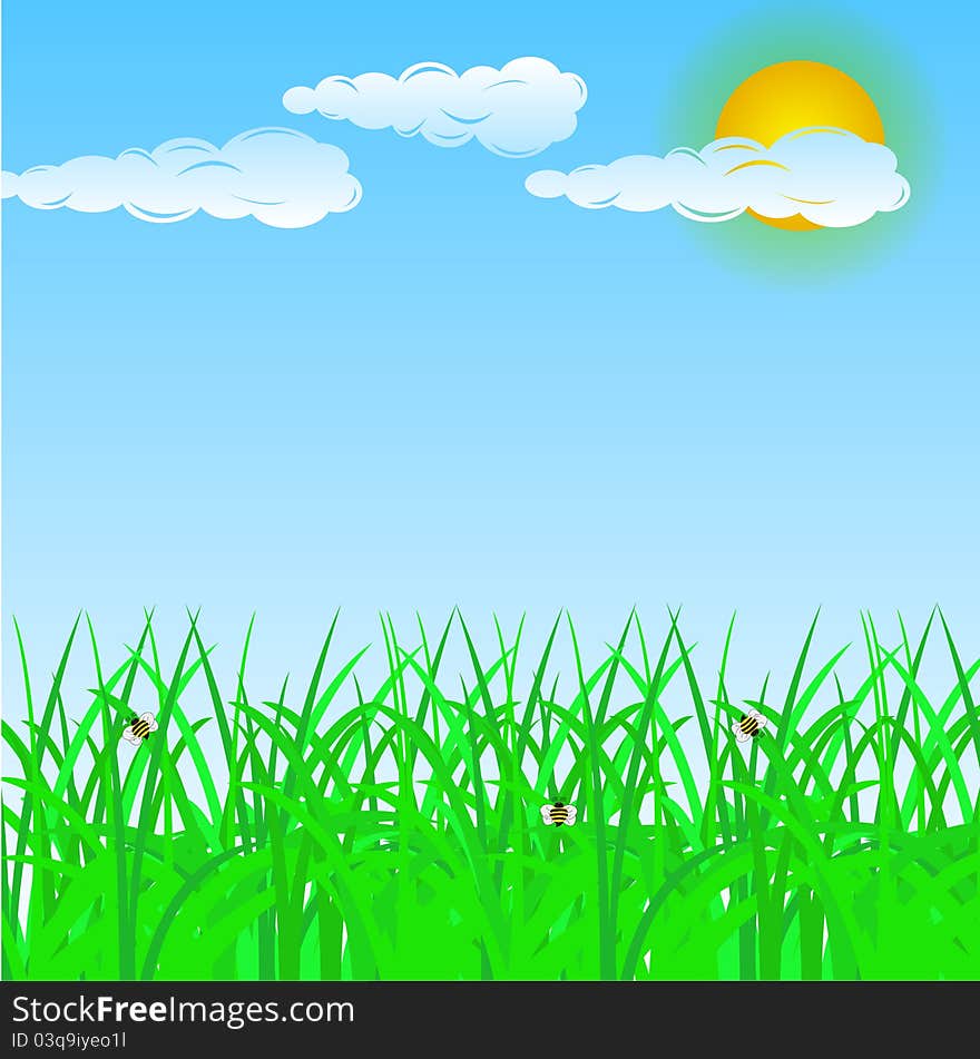 Summer Background For Your Design