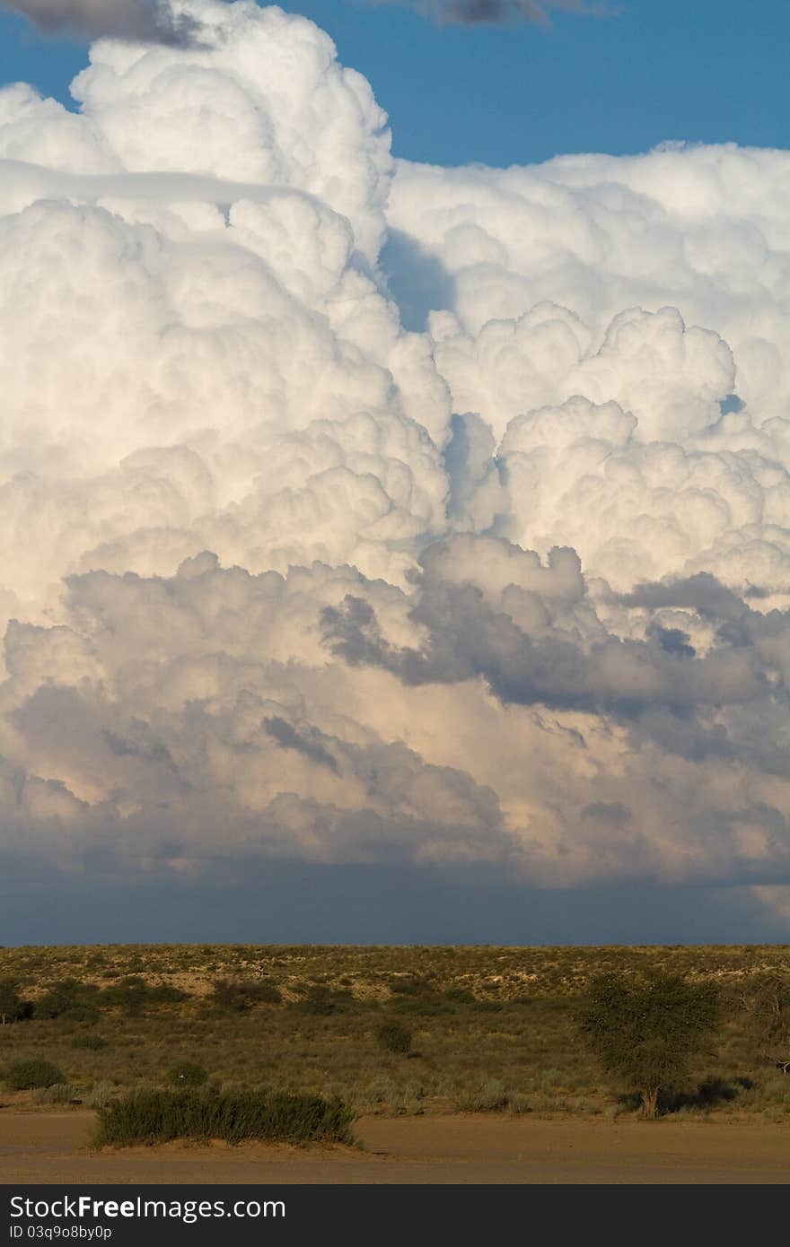 Kalahari cumulus clouds