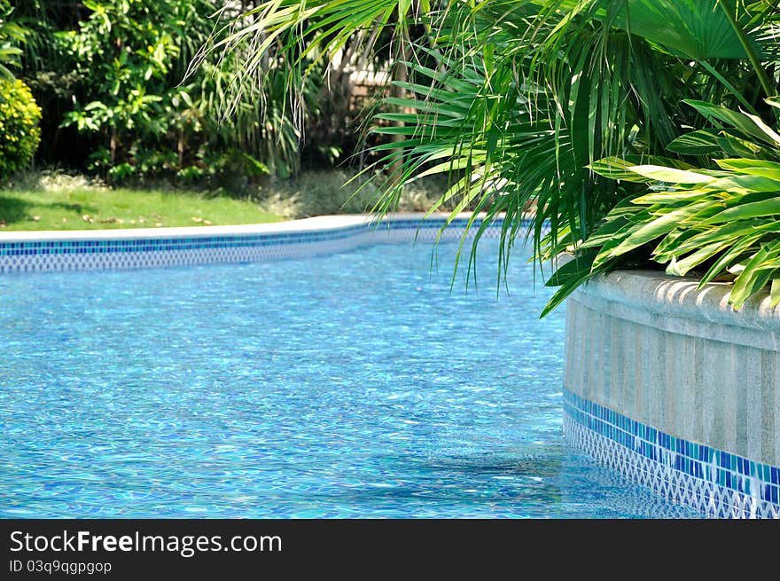 Green plant arround of swimming pool, shown as beautiful green and blue color and good environment for living or holiday. Green plant arround of swimming pool, shown as beautiful green and blue color and good environment for living or holiday.