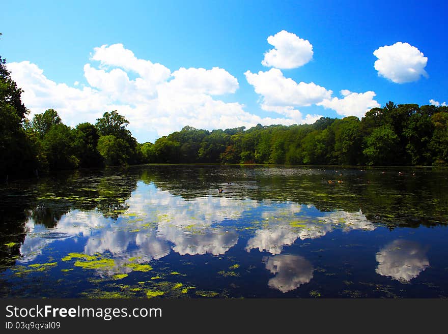 Caleb State Park Smithtown NY in the summertime,