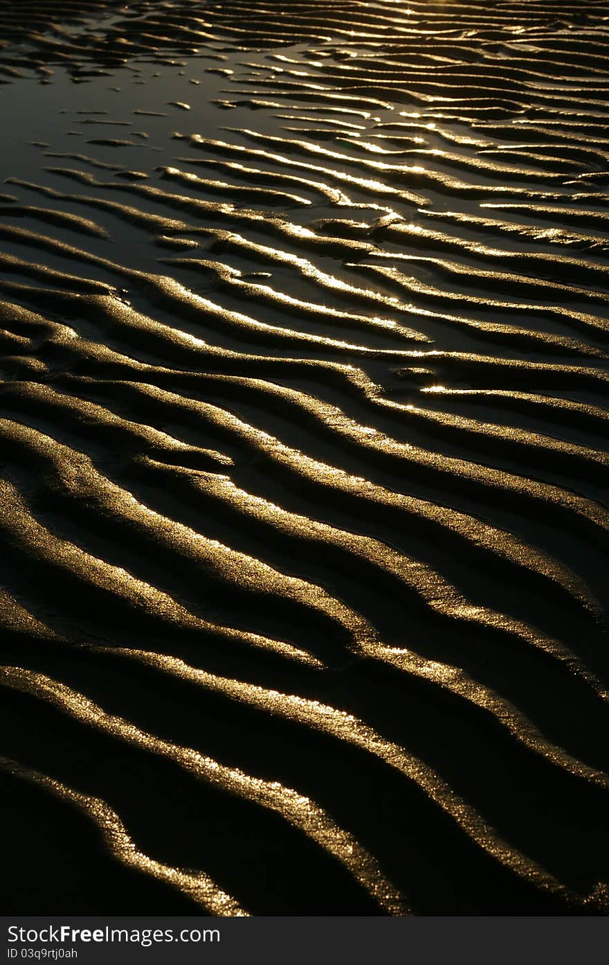 The otherwise harsh contrast of light and shadow in the rippling sand is softened by the warm glow of sunset and just a touch of water. The otherwise harsh contrast of light and shadow in the rippling sand is softened by the warm glow of sunset and just a touch of water.