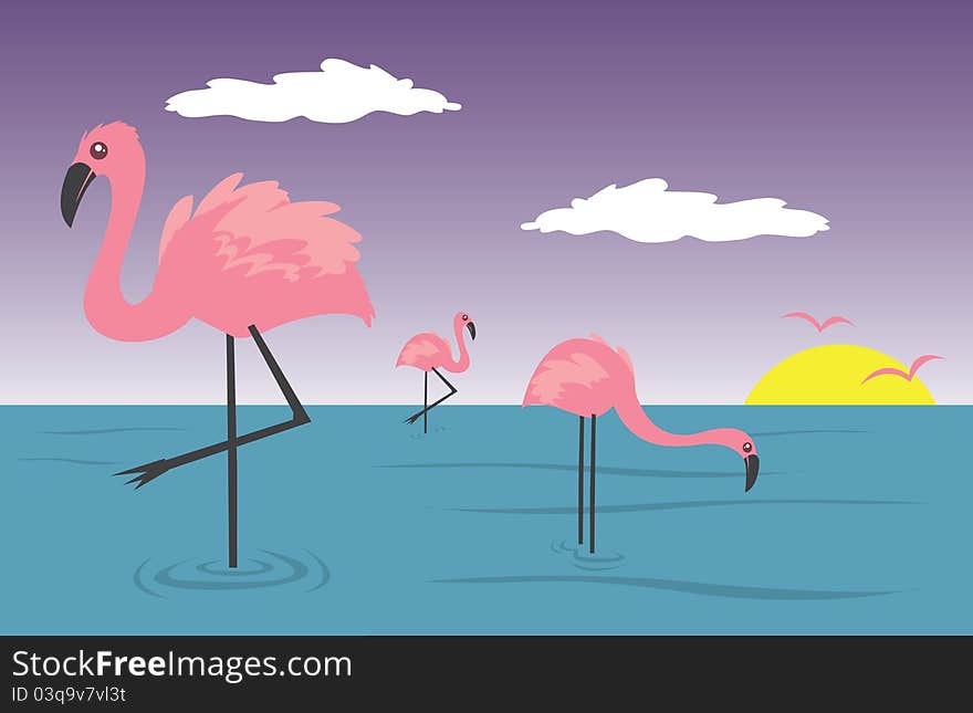 Flamingos in the water with sunset in the background.