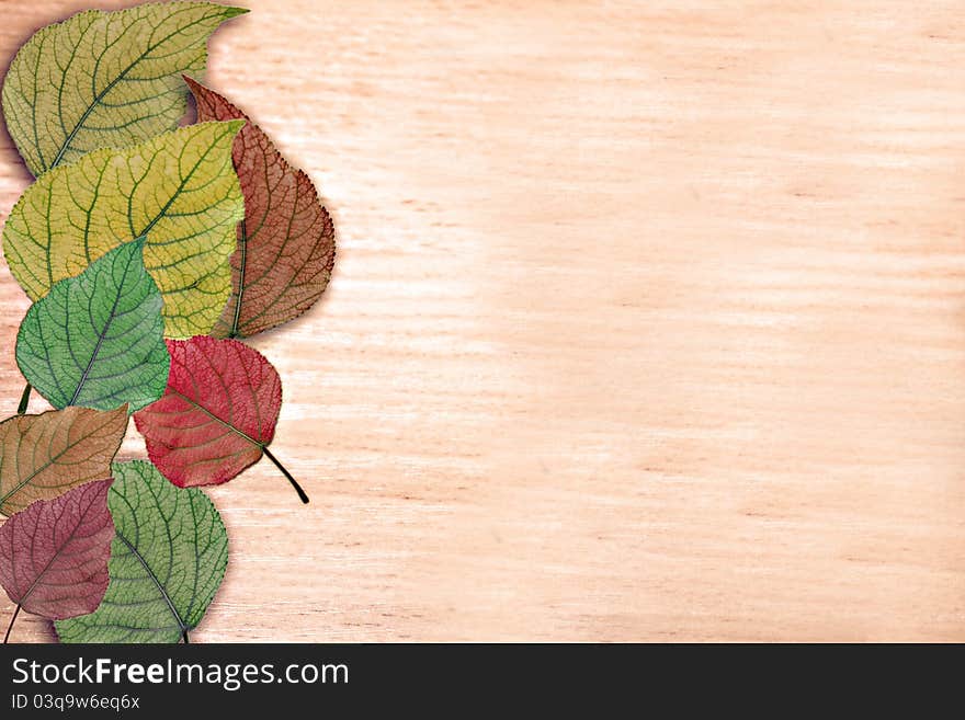 Autumn background with the multi-coloured leaves on wood