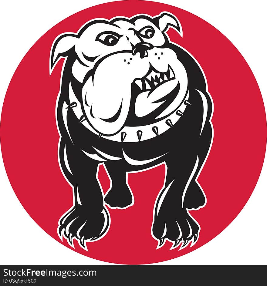 Bulldog mongrel dog front view