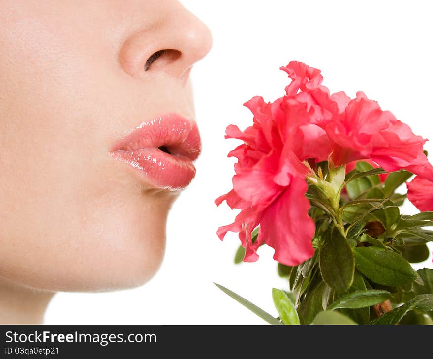 Girl with flower on a white background. Girl with flower on a white background.