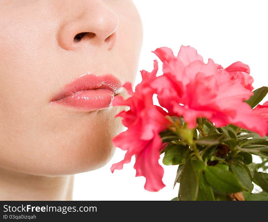 Girl with flower on a white background. Girl with flower on a white background.