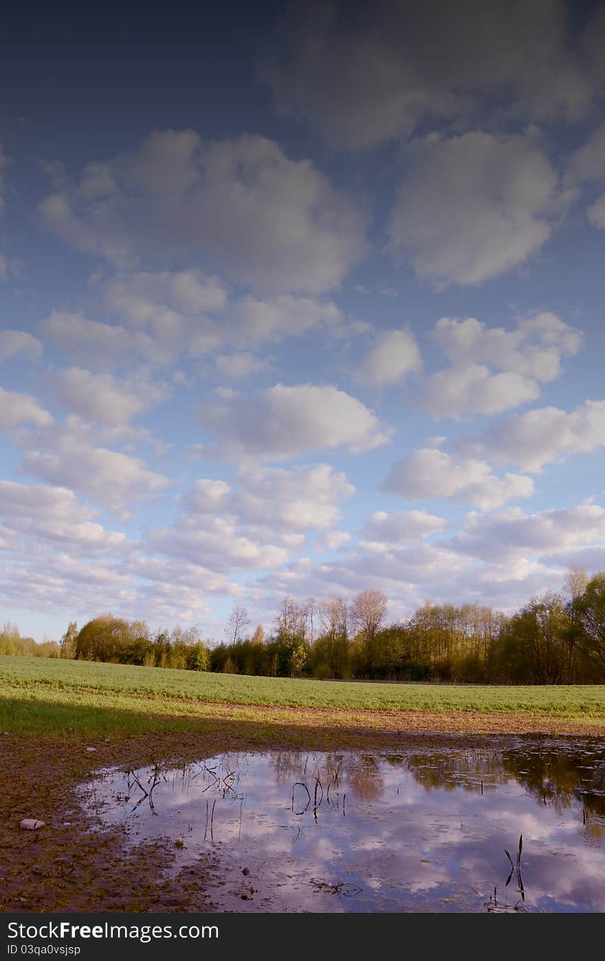 Large swamp in the fields after the rainy period. Forest in the distance and the cloudy sky. Large swamp in the fields after the rainy period. Forest in the distance and the cloudy sky.