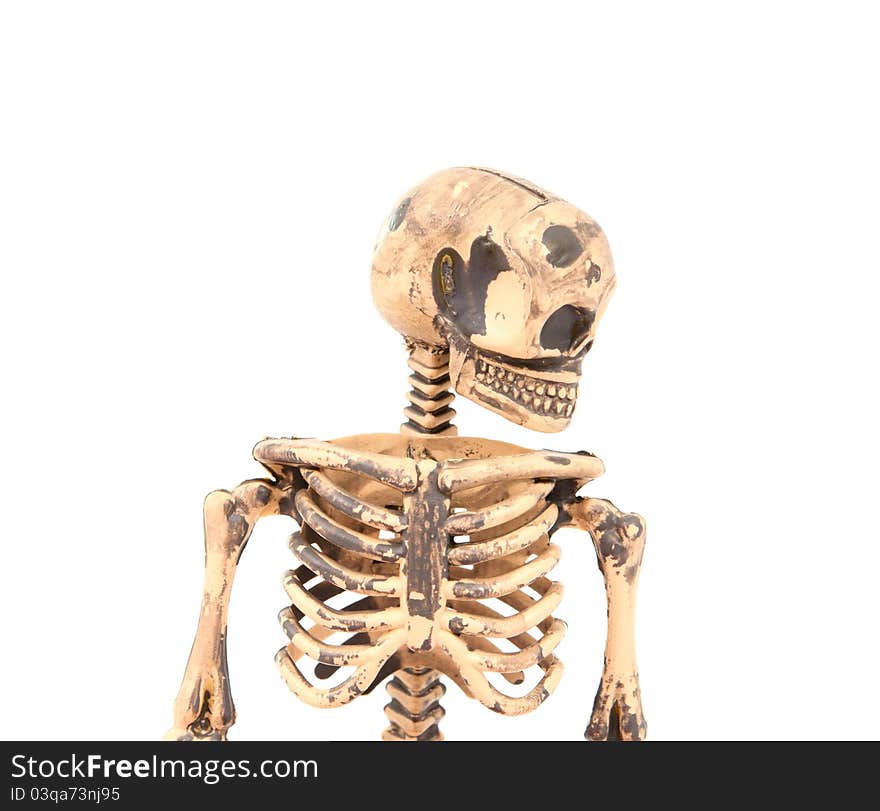 Skeleton on a white background