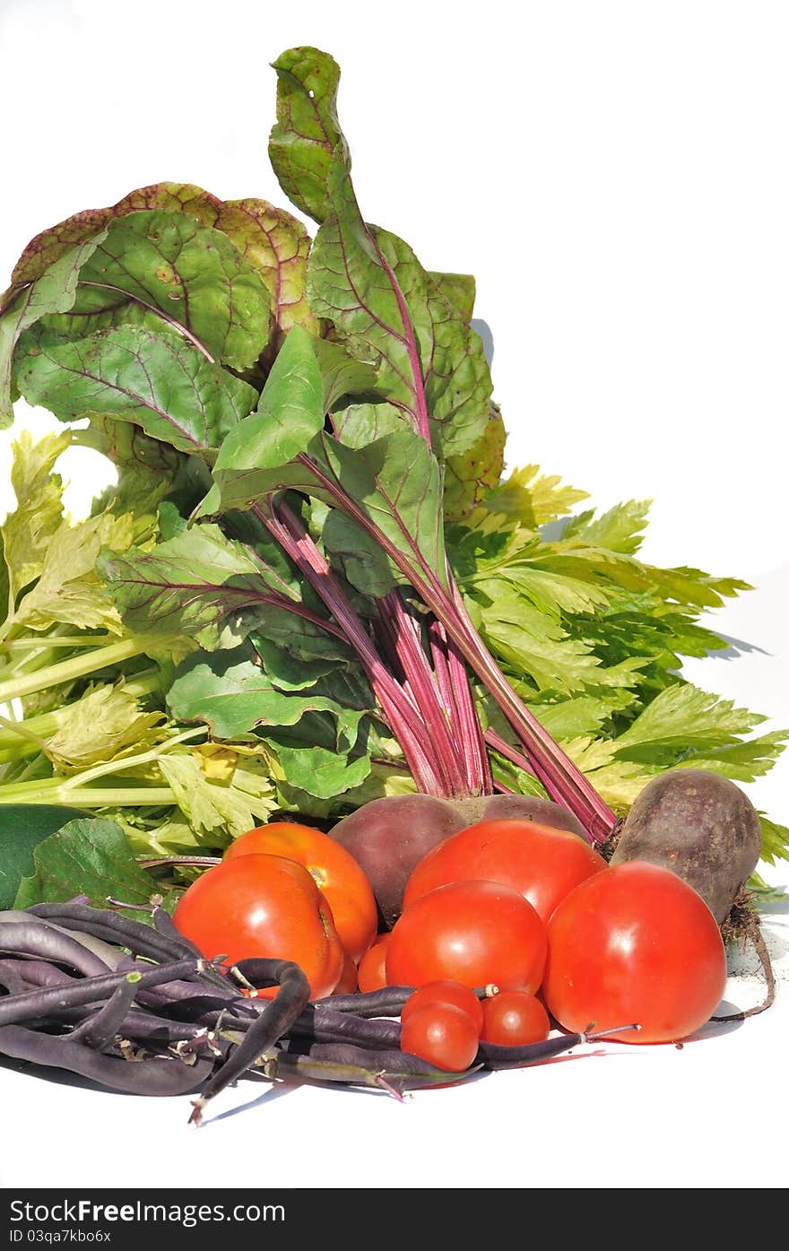 Vegetable Harvest