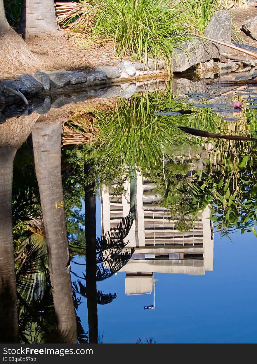 Reflections of the city in Brisbane Botanical Gardens pond. Reflections of the city in Brisbane Botanical Gardens pond