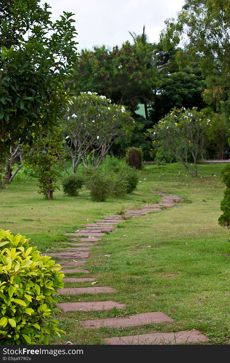 Stone walkway in the garden