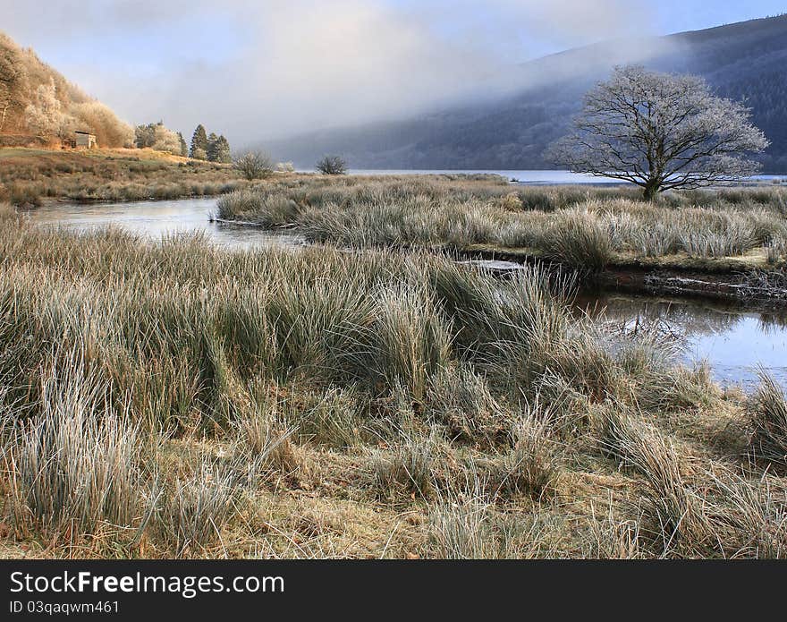 Winter morning at Talybont