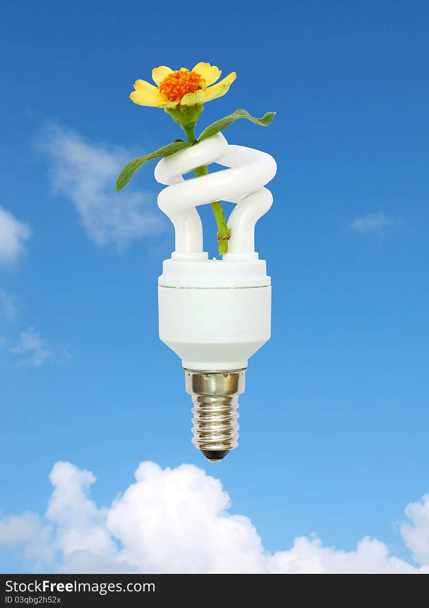 Energy saving light bulb and flower in the sky