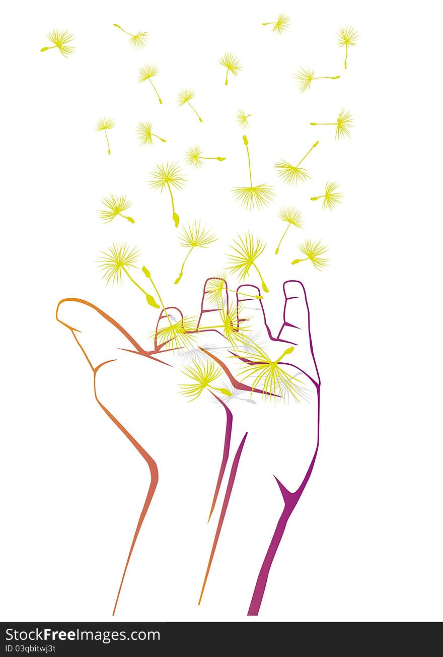 Vector illustration of an open hand. Dandelion blossoms fly up from the hand. Vector illustration of an open hand. Dandelion blossoms fly up from the hand.