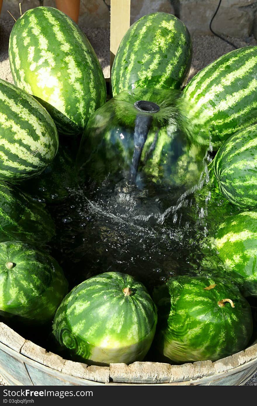 Fresh Watermelon at farmers market