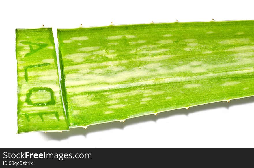 Aloe written on Aloe Vera Leaf.