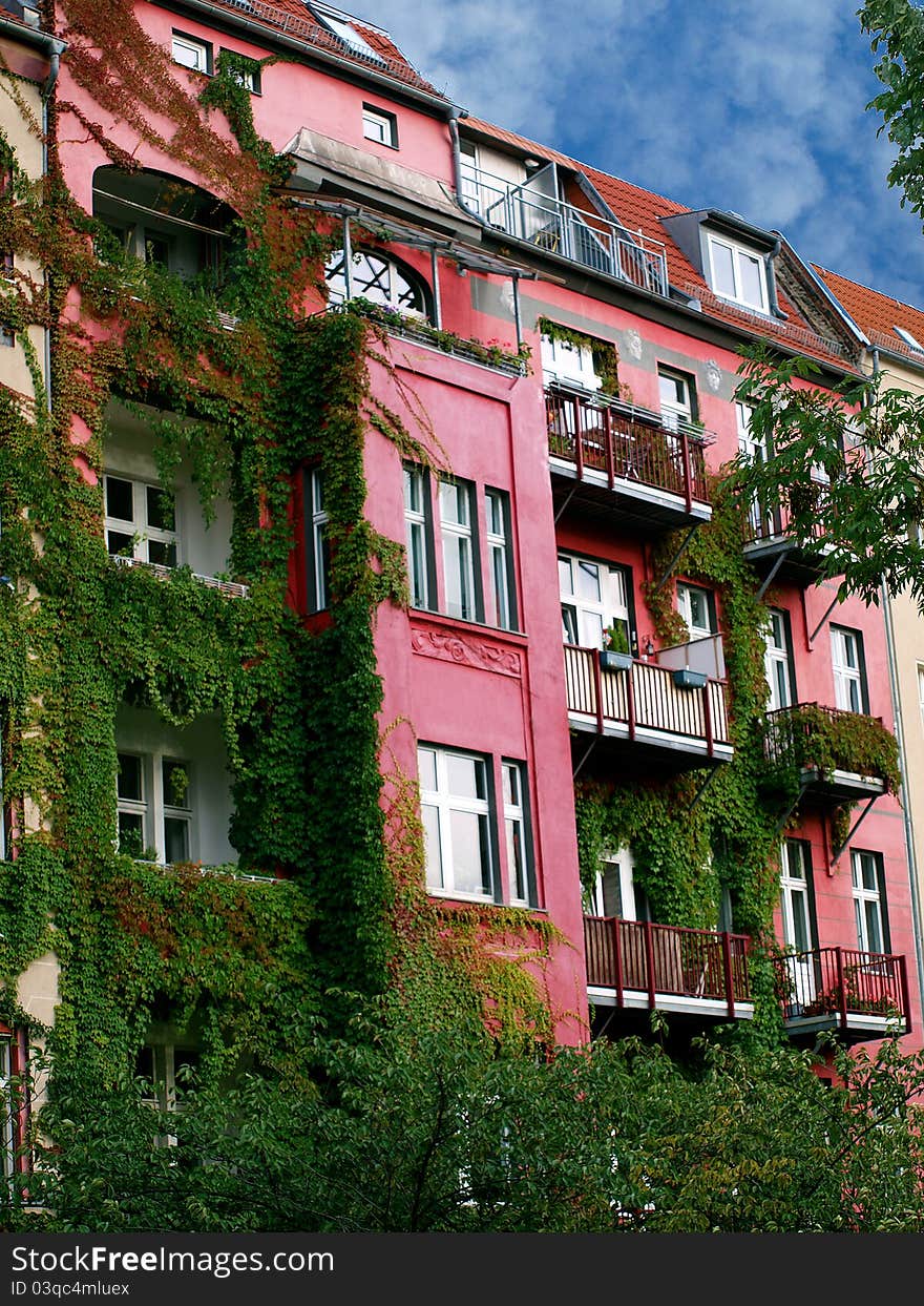 Overgrown building