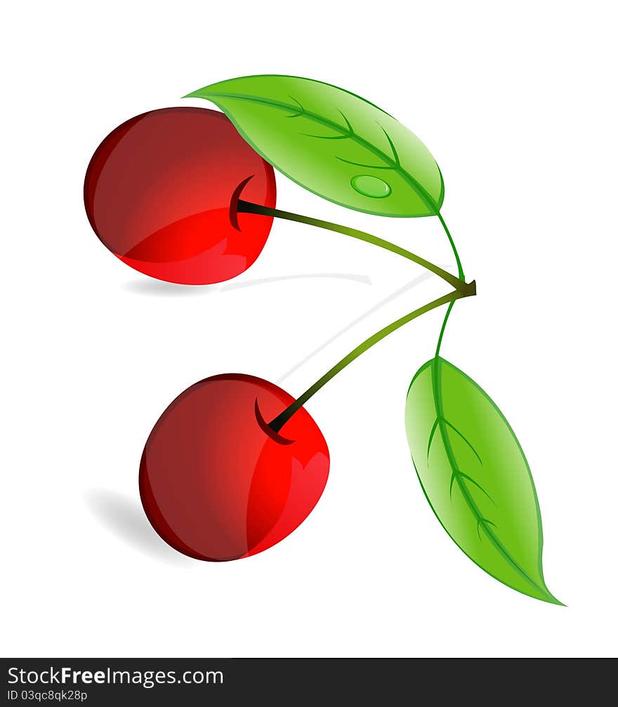 Nature Cherry Symbol On The White