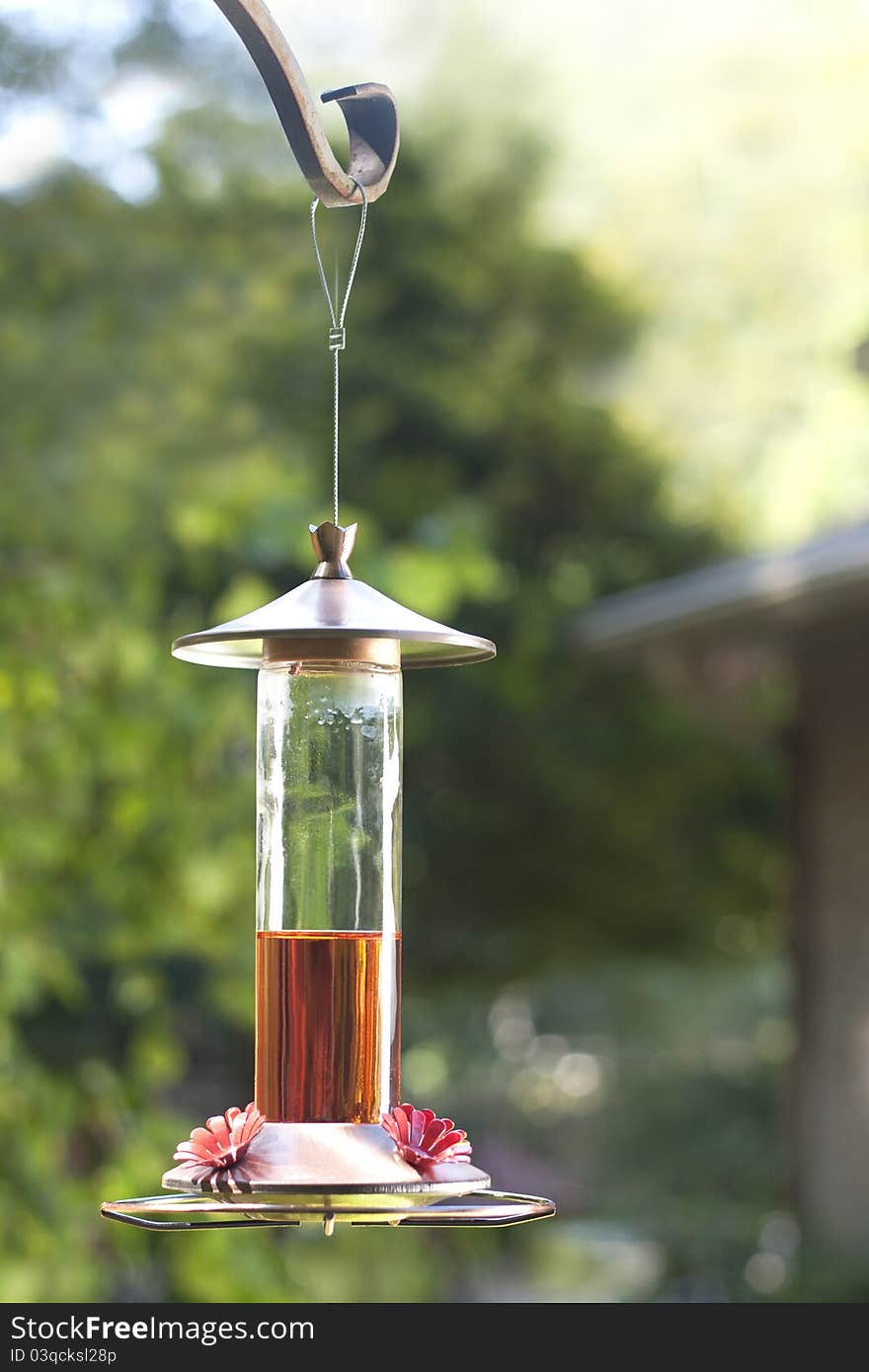 Hummingbird Feeder