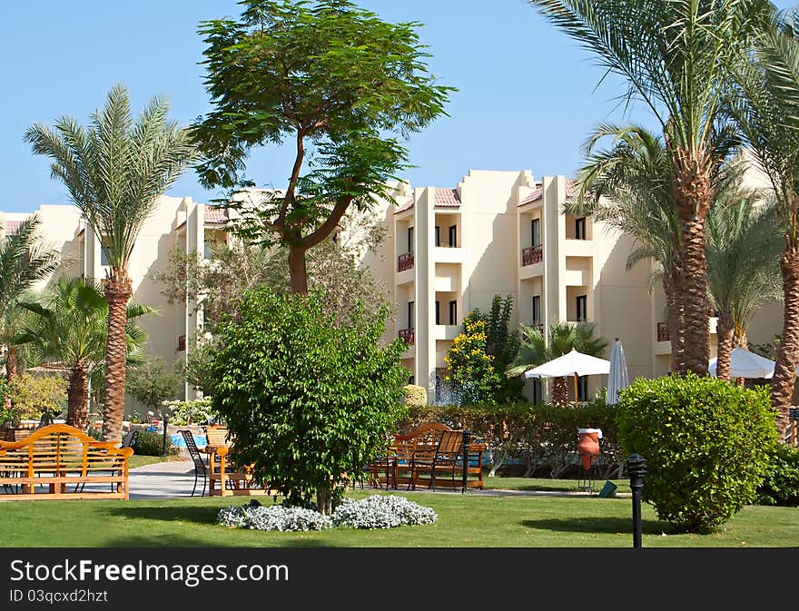 Palms and evergreen plants in hotel in Egypt