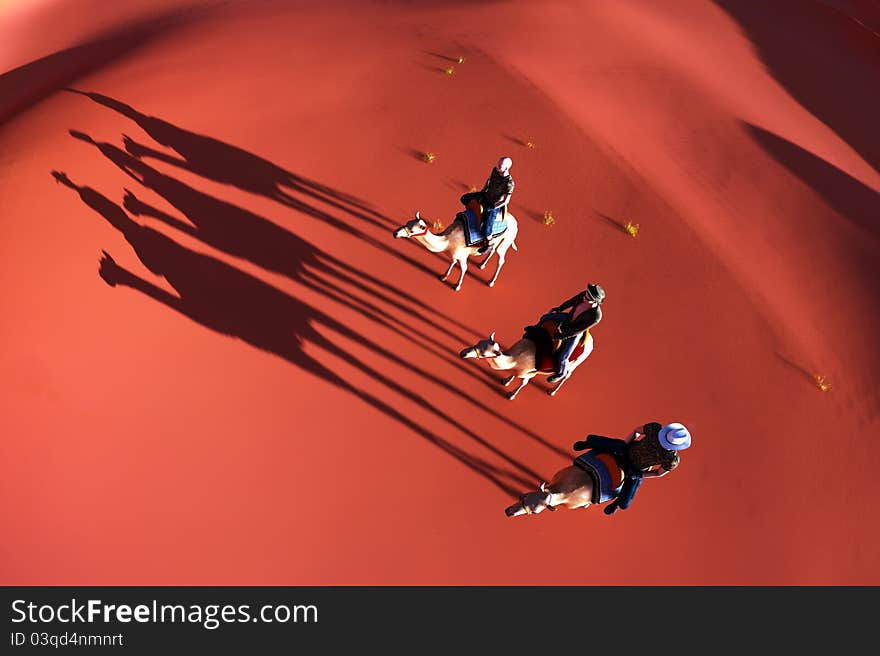 Image of desert and camel